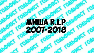 Мишка умер(😭😩