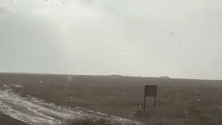 Мы попали в ливень. Лошадь скинула наездницу и вот что было дальше