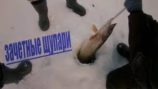 зимняя рыбалка,  рыбалка 2018