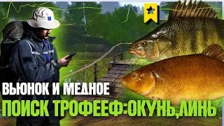 Поиск и Ловля Трофеев На Вьюнке и Медном | Окунь - Линь | Русская Рыбалка 4 [PC 2018]