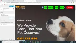 Full Astra Theme Tutorial 2021 - Learn How To Use Astra Theme To Make A WordPress Website