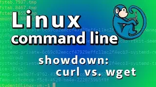 Linux Command-Line Showdown: curl vs wget