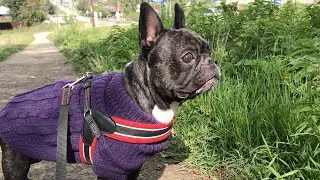 В свитере - жарко! Без - холодно!