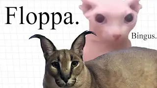 The HISTORY of Big Floppa & Bingus