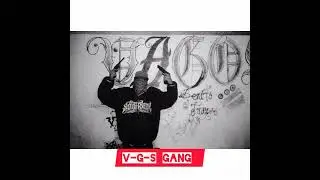 V-G-S GANG // Perfecto723 //EIGTHY-SEVEN PROD.
