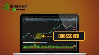 Creating Advanced Scans and Alerts Using ThinkorSwim Stock Hacker