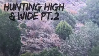 Chasing Giant Desert Muleys in Utah! | Hunting High & Wide Pt.2!