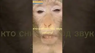 каждого акулёнка замечу!🦈 #shark #edit #facedance #freddy #freddyfazbear #meme