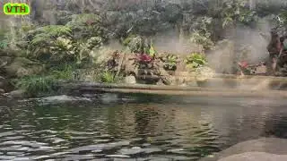 Nhạc thư giãn buổi sáng ,Vườn nhà cam 1
