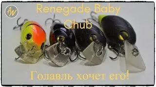 Невероятно! Бюджетный воблер, который СМОГ! Обзор Renegade Baby Chub