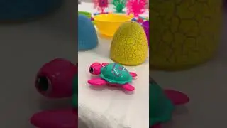 Sea Animal Toy Surprises
