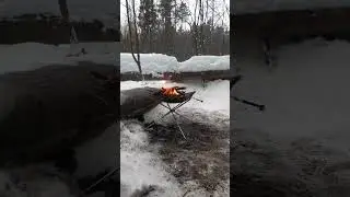в лесу
