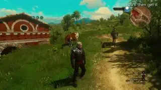 The Witcher 3: Wild Hunt Blood and Wine Hasta la Vista (Secret Achievement)