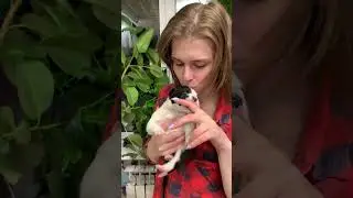 Бэйби было +- 5 дней🙈 