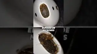 AirPods: The OFFICIAL method for cleaning them 🧼 