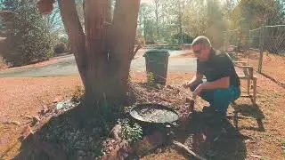 Mosquito Prevention Tip