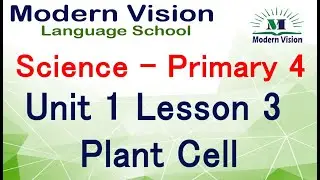 science unit 1 lesson 3  plant cell