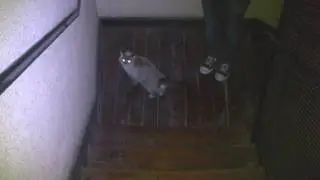 M.A.N.D.Y. Minimal's first steps