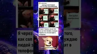 #memes