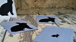 Visually shrink a picture of a rabbit with your iPhone