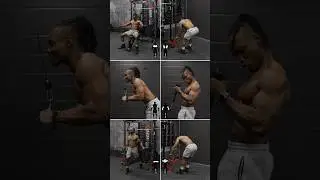 UPPERBODY cable Isolation workout