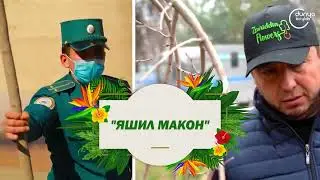 Каким должен быть городской двор