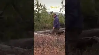 Какими качествами должен обладать министр обороны?