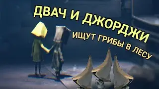ДВАЧ И ДЖОРДЖИ ИЩУТ ГРИБЫ В ЛЕСУ