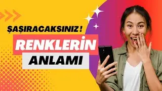 Renklerin 