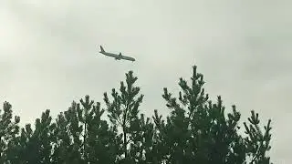 777 300 er Turkish airlines landing in Vnukovo