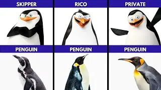 🦁 Madagascar Cast: Real Animals🐧