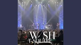 Trial Road (Live)