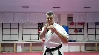 Ударная и защитная техника Тайкан мма . Кихон Кумитэ черного пояса.
