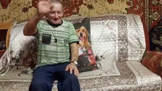 корм для собак