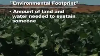 Brighter Living: Decoding Greenspeak