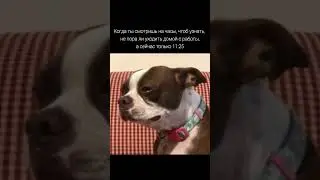Ещё работать и работать🕦