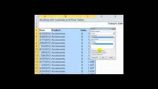 Using Subtotals and Pivot Tables - Lesson from My Excel 2010 Video Package