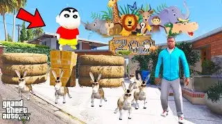 Franklin and Shinchan Open A Zoo Come A Donkey for Help in The Zoo IN GTA V
