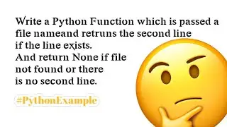 Python Problem: File Handling and Exception Handling Problem