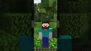 MINECRAFT BUT LIFESTEAL SMP VIDEO #shorts