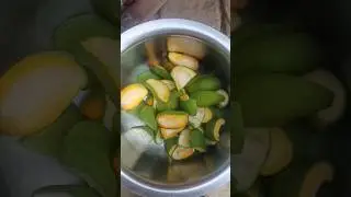 ☘️☘️☘️☘️