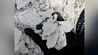 Воспоминание 😉Поездка на Меловые горы❤️