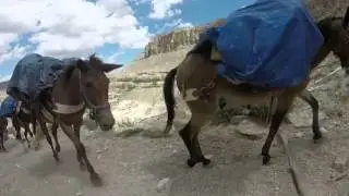 Havasupai, Grand Canyon | GoPro Travel