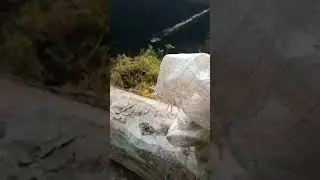 ремонт зимовья