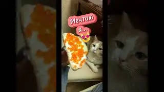 Василий утренний