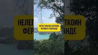 Нелегальная биткоин-ферма в Таиланде 🇹🇭 