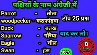 पक्षियों के नाम अंग्रेजी में// Birds name in English// 20 पक्षियों के नाम अंग्रेजी में/ b study 91