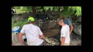 Yet another pond and waterfall transformation!