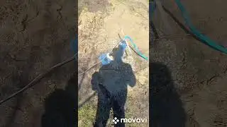 7 апреля 2023 г.