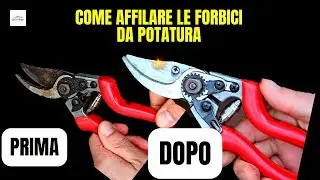 Come Affilare Le Forbici Da POTATURA